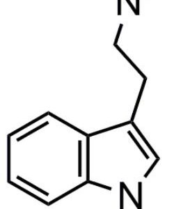 N,N-DMT Vape